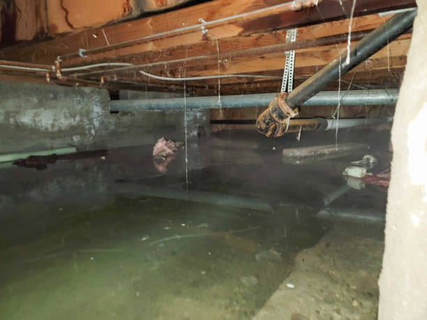 Best Water damage restoration services  in Calvert City, KY