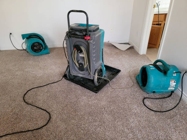  Calvert City, KY Water damage restoration Pros