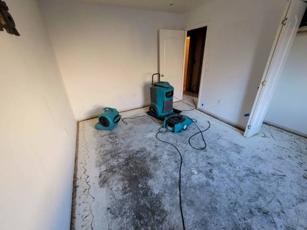 Best Mold removal after water damage  in Calvert City, KY