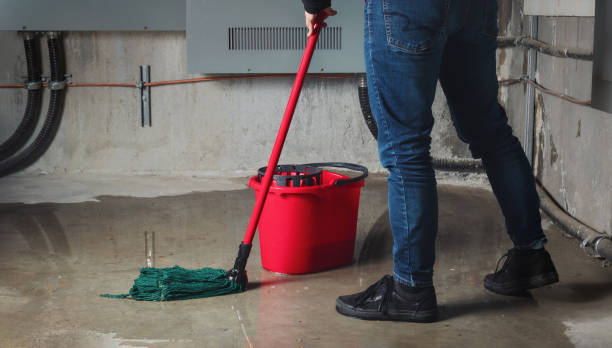 Best Water damage restoration process  in Calvert City, KY