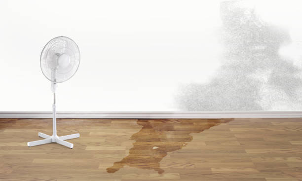 Best Sewage cleanup and water damage restoration  in Calvert City, KY