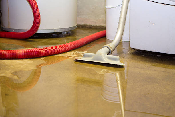Best Fire Damage Restoration  in Calvert City, KY