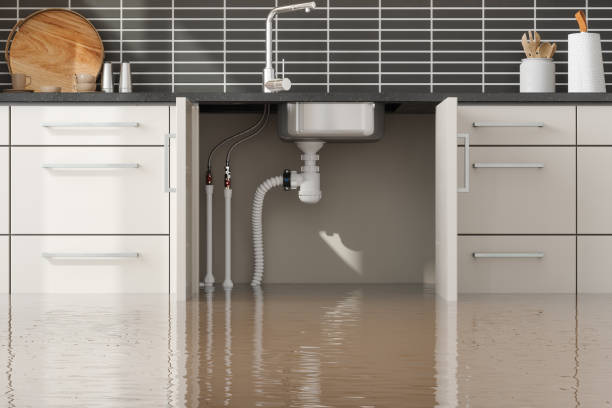 Best Flood damage cleanup  in Calvert City, KY