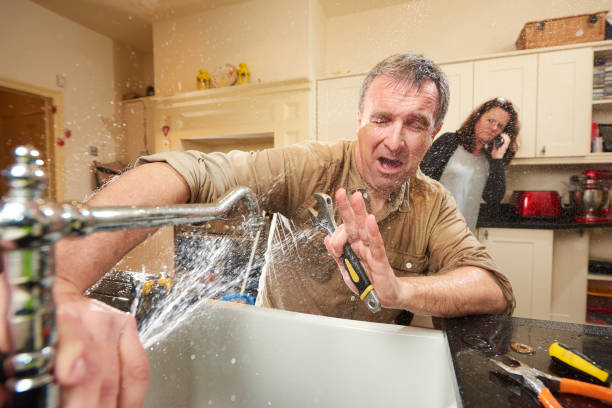 Best Carpet water damage restoration  in Calvert City, KY